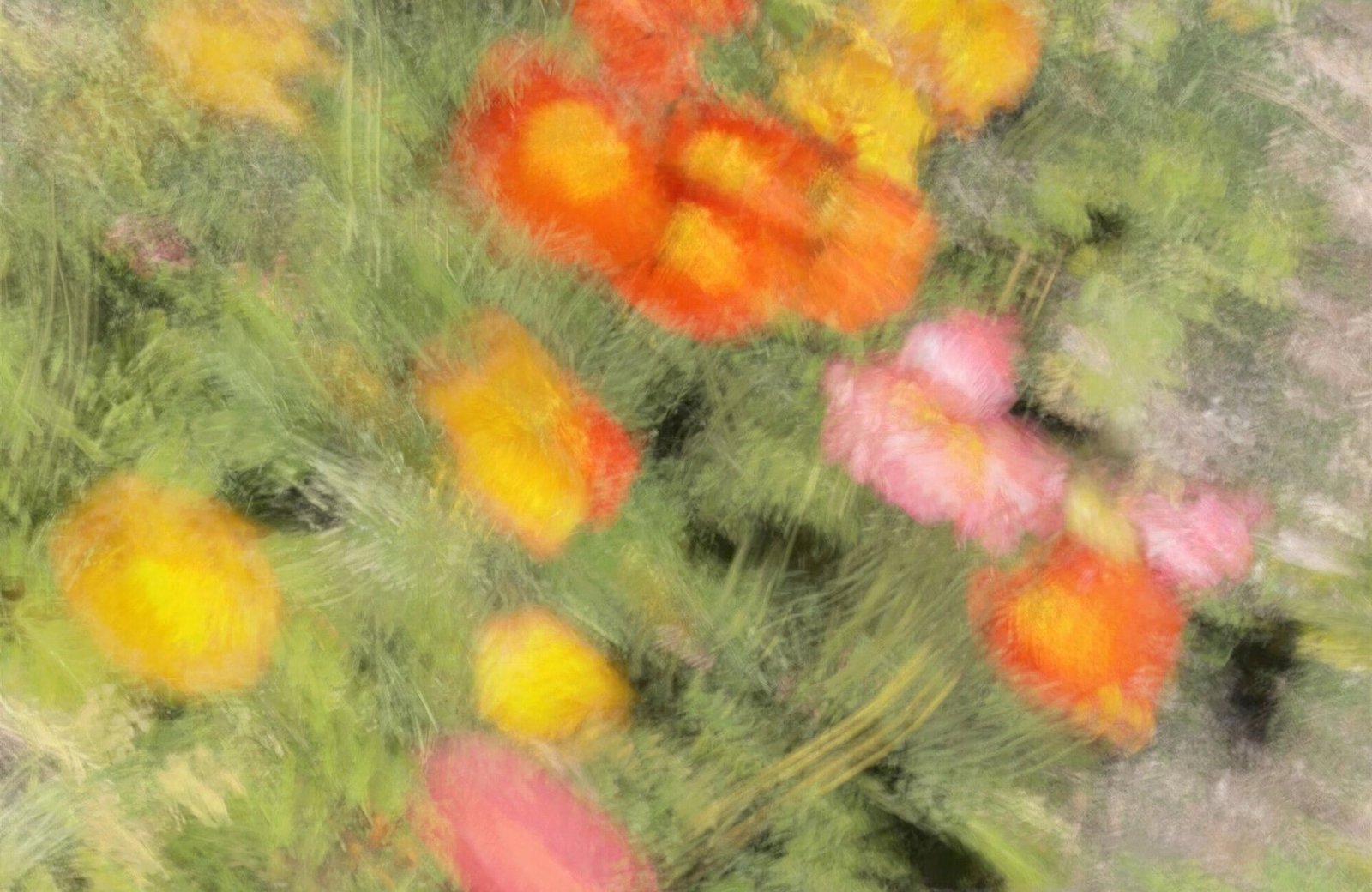 Colorful Flowers 1 - détail panoramique